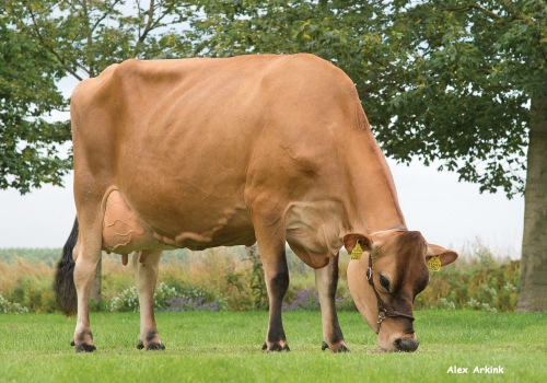 Mãe - VJ Gutz 1.jpg