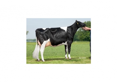 Willemshoeve-Javina-903_VG87 - Origens de Dolomita.jpg