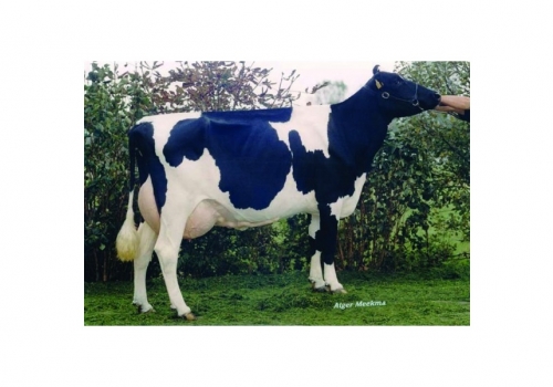 Mars-Froukje-277_VG-89 - Origens de Dragon.jpg