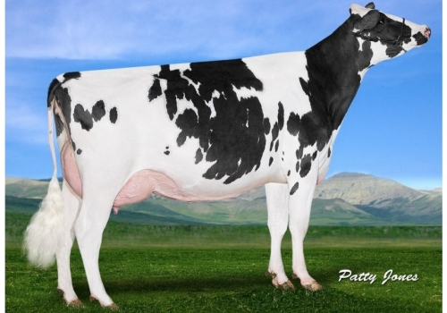 Gold-N-Oaks-MVP-ARIA-2815-et - Bisavó de Singer.jpg