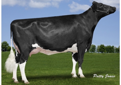 Aija-Supersire-Makea - Tataravó de Suma.jpg