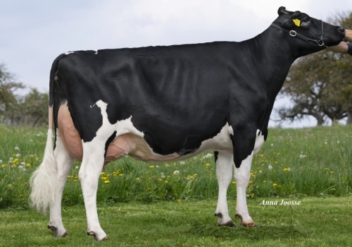 Commander_RZN-Mackenzie - Irmã da Bisavó de Suma.jpg