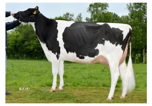 Gerste - Bisavó de Goretex