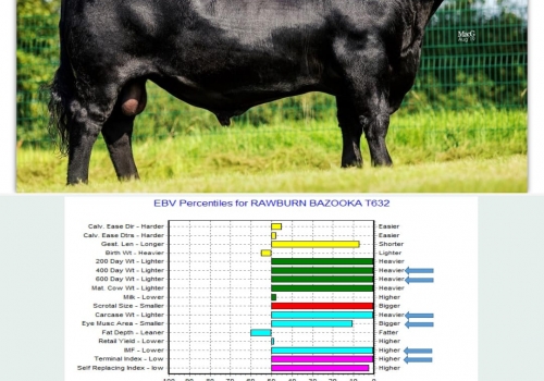 Bazooka Avaliação 06.2022.jpeg