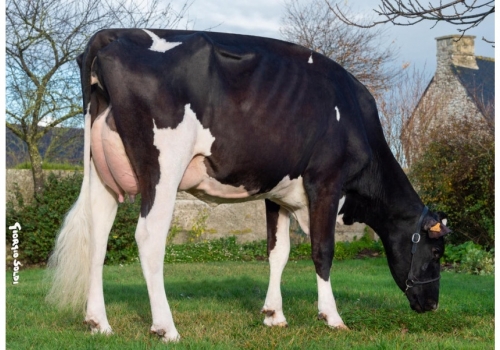 Ver Olya - Mãe de Director.jpg