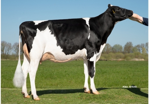 Anne - Irmã completa de Gucci.jpg