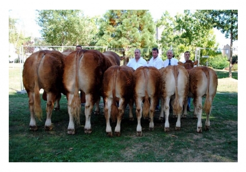 Prêmio de Família, Brive 2019.jpg