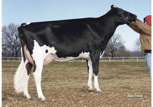 Morningview-Pronto-C-Rae EX-90_Da Família de Wifi.jpg