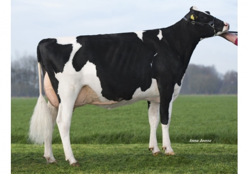 Lilly P RC P ET_Mãe de Zeta.jpg