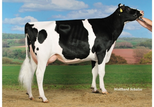 MB-Lili-216 ET VG-86_Avó de Zeta.jpg