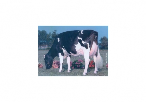 Bersaglio-Mtoto-Locanda_VG-87_as Origens de Globo_1.jpg