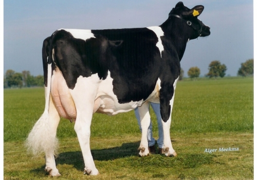 Gryphus-Simon_Koepon-Classy - As origens de Belako.jpg