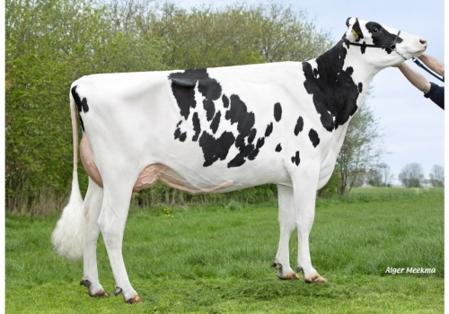 Keith_Koepon-Keit-Classy-452_NL933610732 - mãe de Belako.jpg