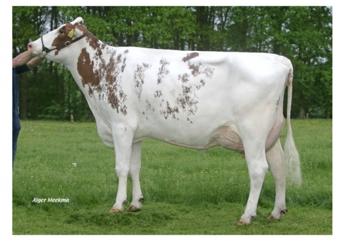 Etaregge-Burns-A-Margrit-Red_VG-86_as origens de Comanche.jpg