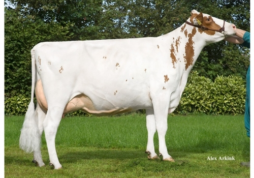 Etaregge-Fide-A-Monique_VG-87_as origesns de Comanche.jpg