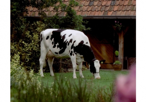 Etaregge-Kian-Asmira-4_as origens de Comanche.jpg