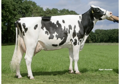 Etaregge-Kian-Asmira-4_VG-87_as origens de Comanche.jpg