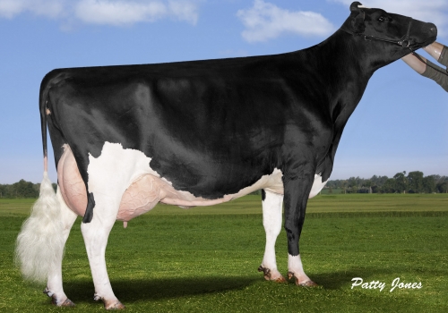 ALEXERIN OMAN 993 EX-90 - BISAVÓ CHARM