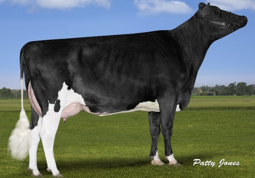 ALEXERIN SUPERSIRE 1338 MB-87 - AVÓ CHARM.jpg