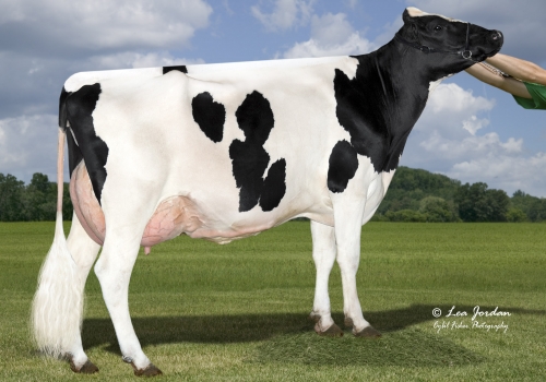 AURORA COMMANDER 16020_AVÓ DE EXPRESS.jpg