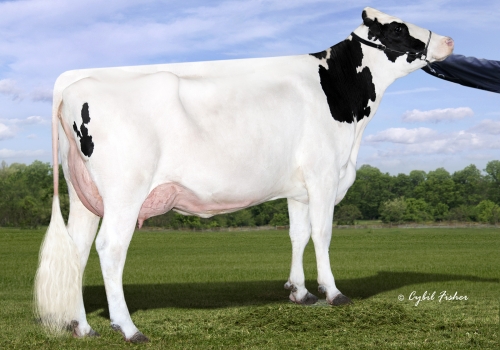 AURORA EXPRESSO 17922_MÃE DE EXPRESS.jpg