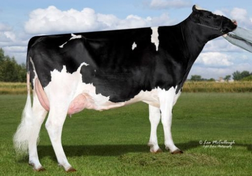 AURORA MAYFIELD 13965_BISAVÓ DE EXPRESS.jpg