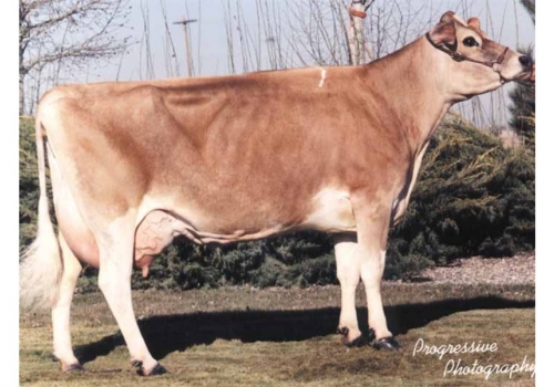 ATILA_AU-DUNCAN-SOONER-TWILIGHT_AVÓ DE ATILA