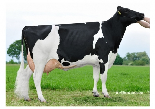 Shotglass_Bubble_VG-87 - tataravó de Fakir P.jpg