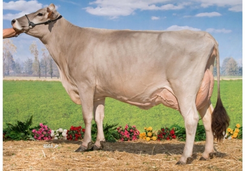 FIONA_FR5239991249 - bisavó paterna de Froilan.jpg