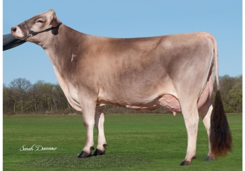 JO-LANE-CADENCE-HILARY-ET-LEFT_EX90 - bisavó de Froilan.jpg