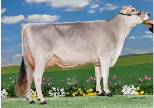 MANA_FR5239991766 - avó paterna de Froilan.jpg