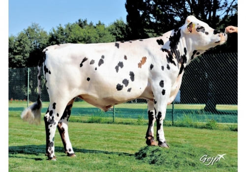 OTTOMAN_pai do SOTO.jpg