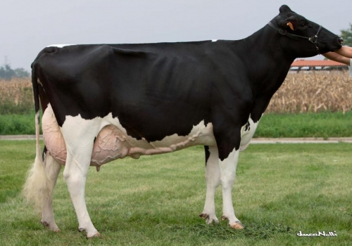 Pess-farm-mtoto-eva.jpg