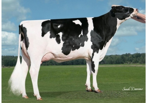 Das origens de Relax_Delta_Simple-Dreams-MD-Candi_VG-89.jpg