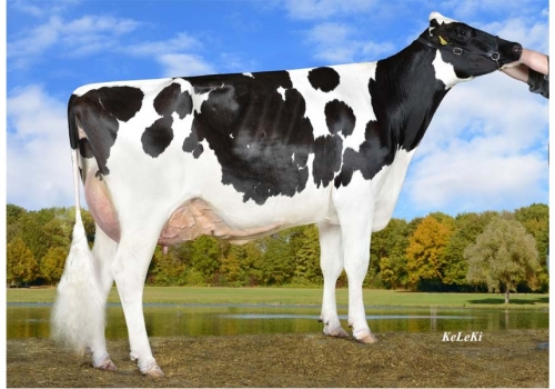 Balisto_Pistazie_das origens de Central P.jpg