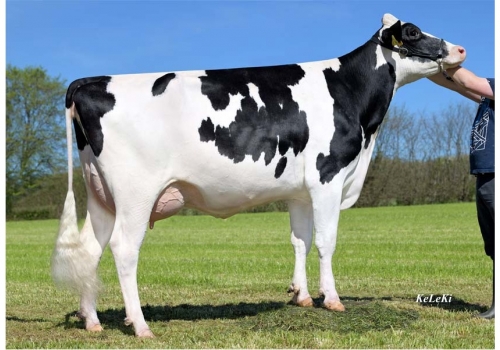 All-In_KAX-Patsy_bisavó de Central P.jpg