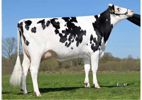 Cameron_KAX-Passionata_irmã completa da avó de Central P.jpg