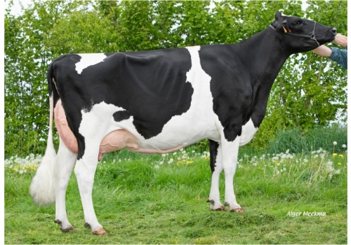 Blowtorch_Normandie_Irmã da avó de Futuro.jpg