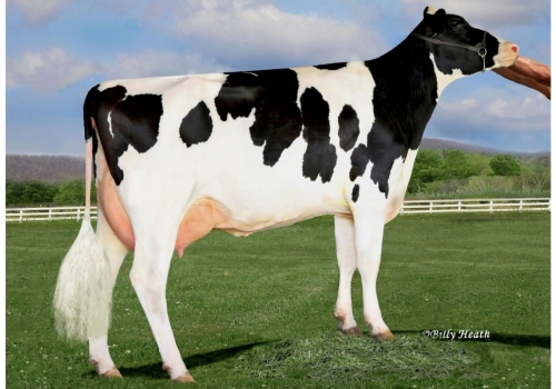 Eastview-Mtoto-Mia-Lady-ET_as origens de Futuro.jpg