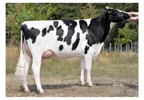 Lighter_Charlott_Avó de Futuro