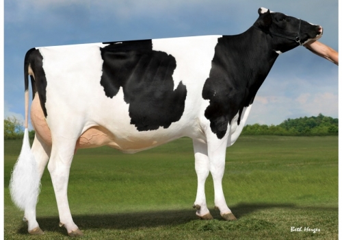 Progenesis Pulsar Lena_Bisavó de Futuro