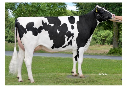 Redrock_FIS-Clara_Irmã da mãe de Futuro.jpg