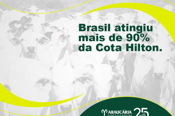 Brasil atinge mais de 90% da Cota Hilton
