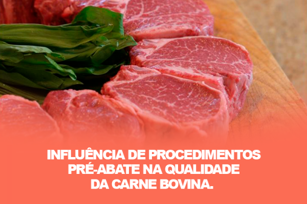 Influência de procedimentos pré-abate na qualidade da carne bovina