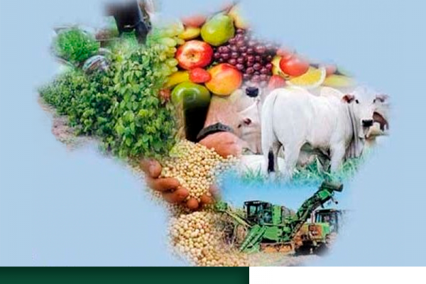 Nos próximos dez anos, ritmo de crescimento do agronegócio brasileiro será maior do que no resto do mundo
