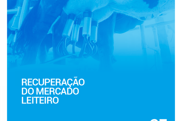 Mercado de leite no Brasil pode se recuperar em 2017