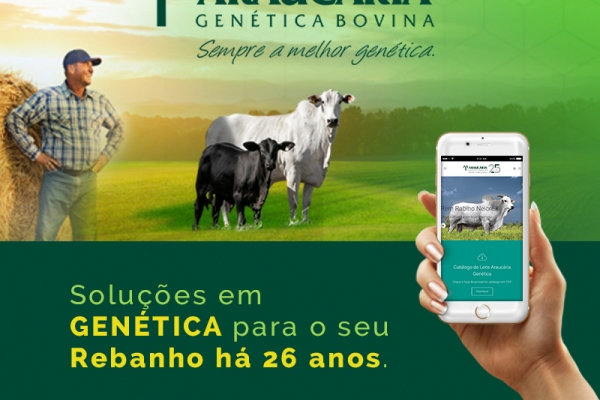 26 anos de dedicação a você!