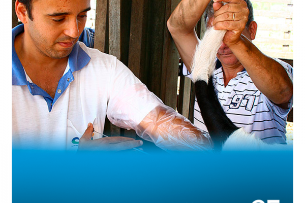 Inseminação abre espaço para outras técnicas