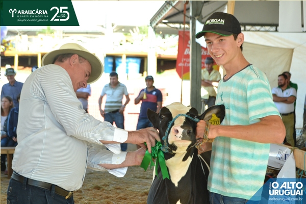 15ª edição da Mostra da Terneira - Taquaruçu do Sul