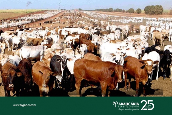 Temporada de Outono será marcada por recuperação de preços